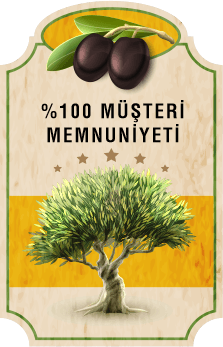 Lezzet Ödüllü Sızma Zeytinyağı,Erken Hasat Zeytinyağı,Zeytin Çeşitleri,Sızma Zeytinyağı Fiyatları