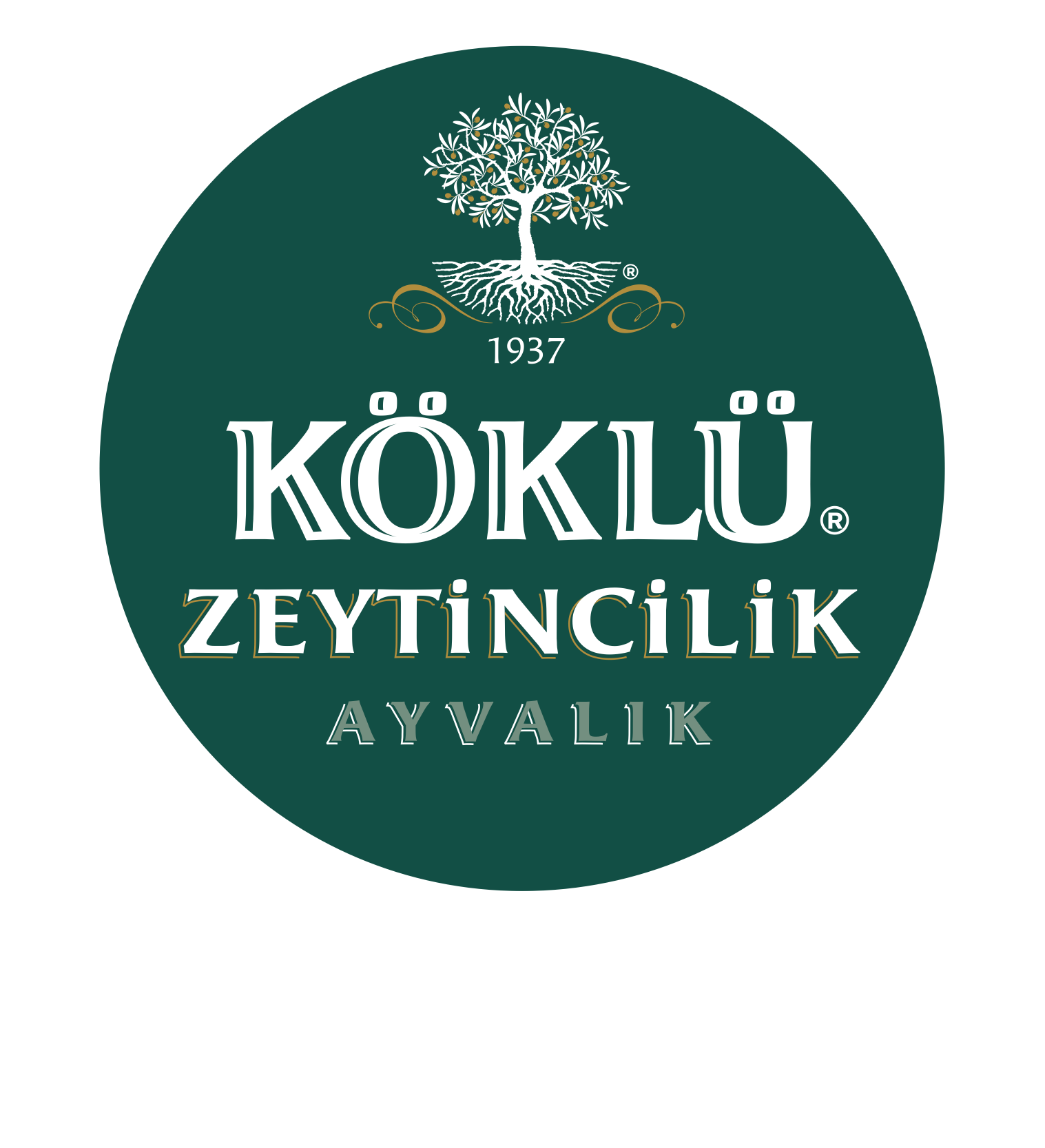 kokluzeytincilik.com.tr
